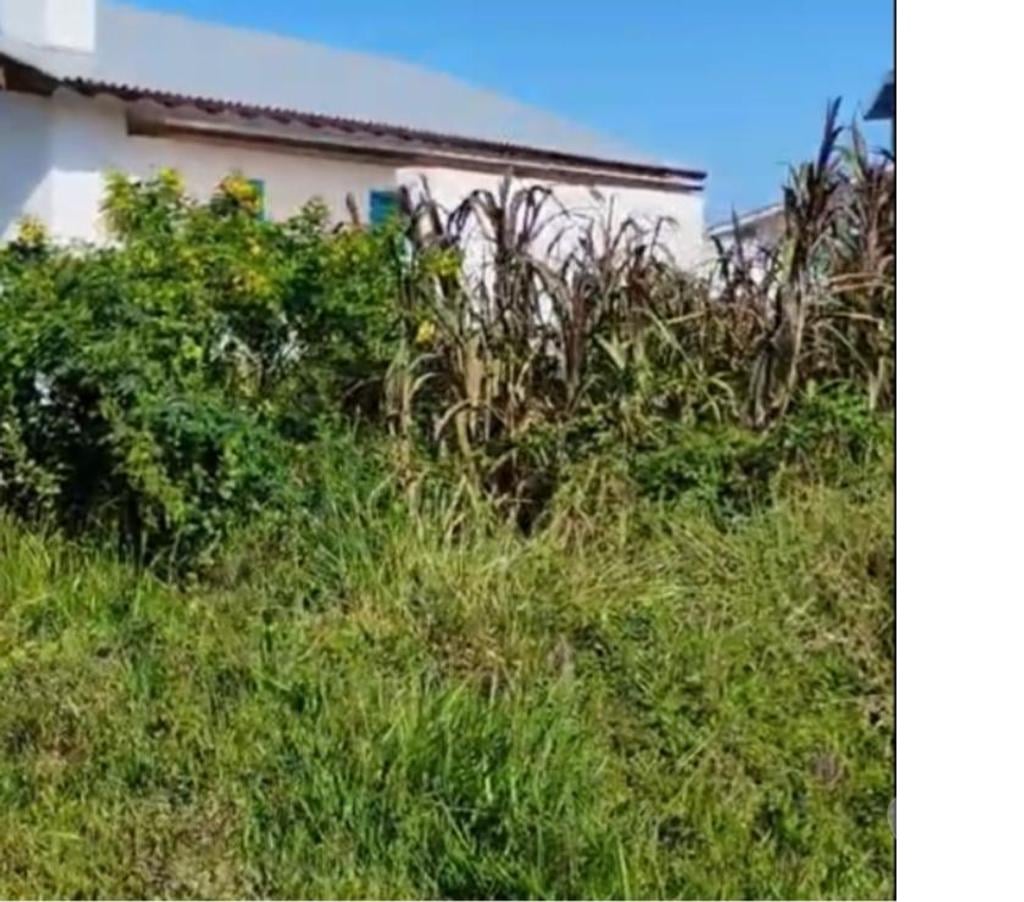 Terrenos Arroio do Sal RS - Fotos para O Sonho de ter casa Pertinho do Mar Você aqui Arroio do Sal