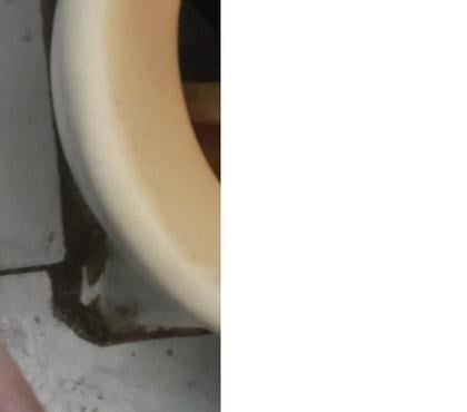 Encontros Casuais Pampulha Belo Horizonte MG - Fotos para Estou procurando mulher coroa de 50 pra cima