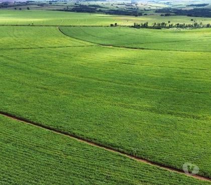 Fazendas - Sitios à venda - images_alt_text FAZENDA EM CANA COM 224 ALQUEIRES REGIÃO DE JAGUAPITÃ PR