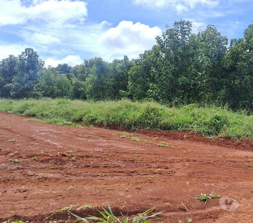 Terrenos Goiania GO - Fotos para Condomínio Aldeia Santo Antônio I Lotes a Prestação