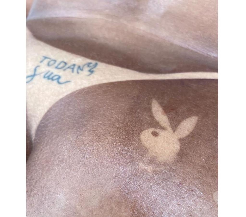 Garotas de programa Barreirinhas MA - Fotos para Acompanhante estilo cavalona