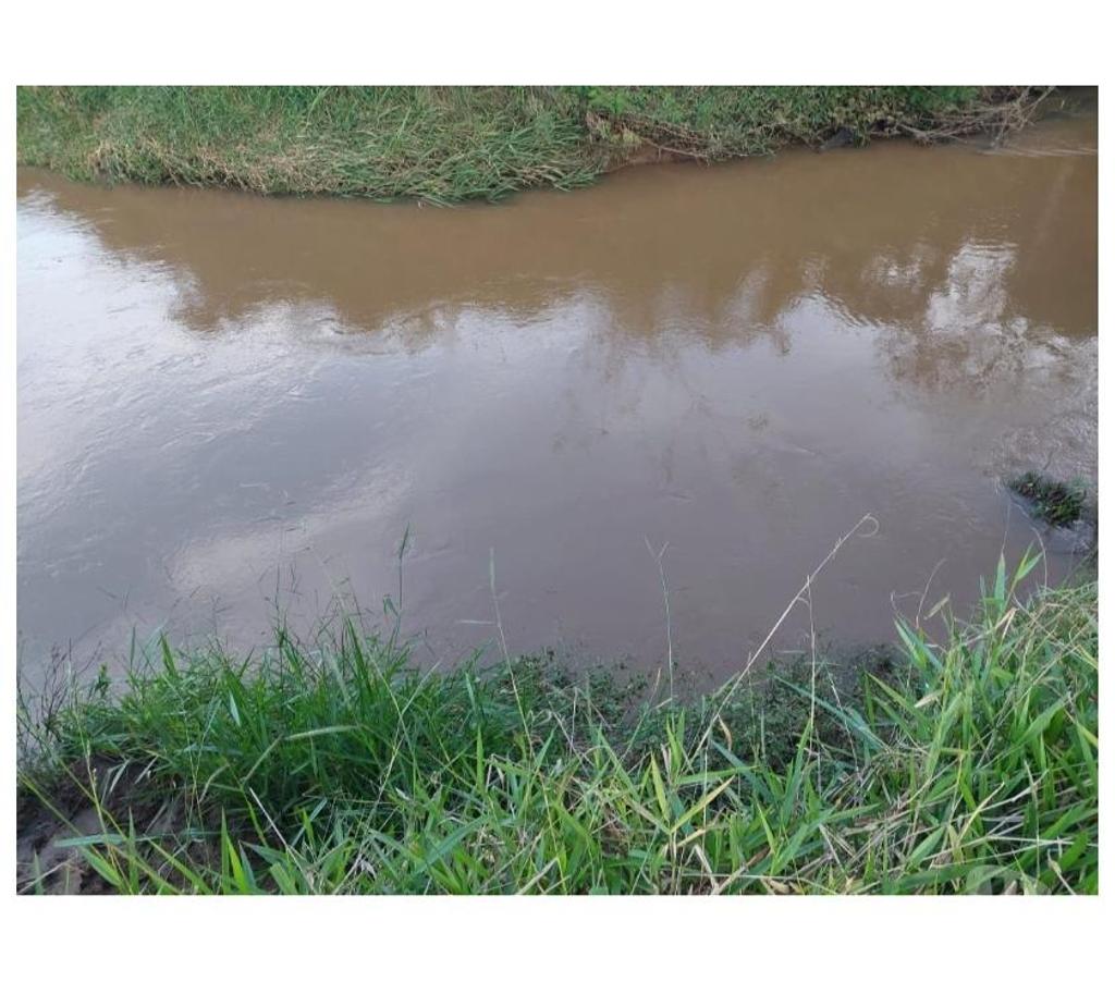 Fazendas - Sitios à venda Muzambinho MG - images_alt_text Sítio em Muzambinho MG - Sousa