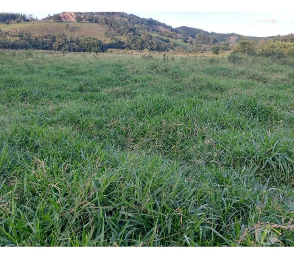 Fazendas - Sitios à venda Muzambinho MG - images_alt_text Sítio em Muzambinho MG - Sousa