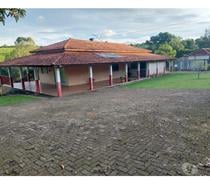 Sítio em Muzambinho MG - Sousa