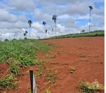 LOTES A PRESTAÇÃO Condominio Aldeia Sto Antonio