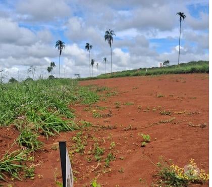 Terrenos a venda - Fotos para LOTES A PRESTAÇÃO Condominio Aldeia Sto Antonio