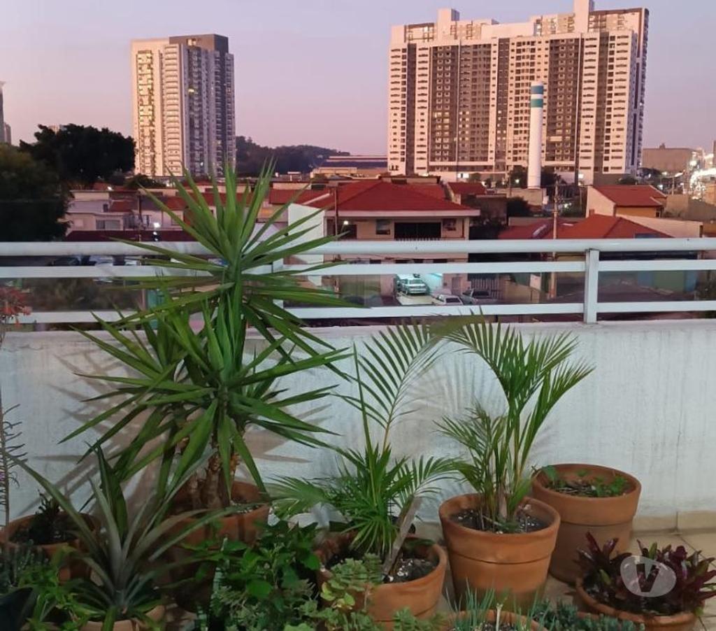 Alugar apartamentos Sao Paulo SP Pinheiros - Fotos para APTO ALUGA-SE AV. FRANCISCO MORATO, 4650