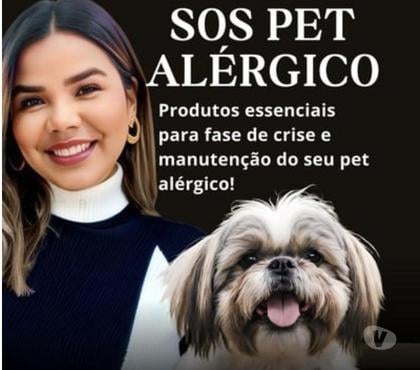 Veterinários - Serviços - Acessórios - Fotos para SOS pet alérgico