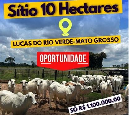 Fazendas - Sitios à venda - Fotos para Venda - SÍTIO 10 Hectares - Lucas do Rio Verde-MT