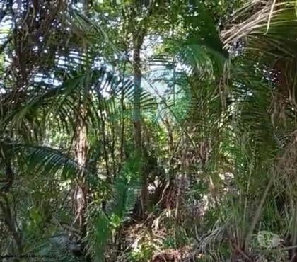 Terrenos a venda - Fotos para Lote para Venda, Prado BA