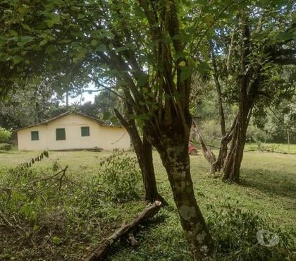 Fazendas - Sitios à venda - Fotos para Sítio em Bocaina com RGI