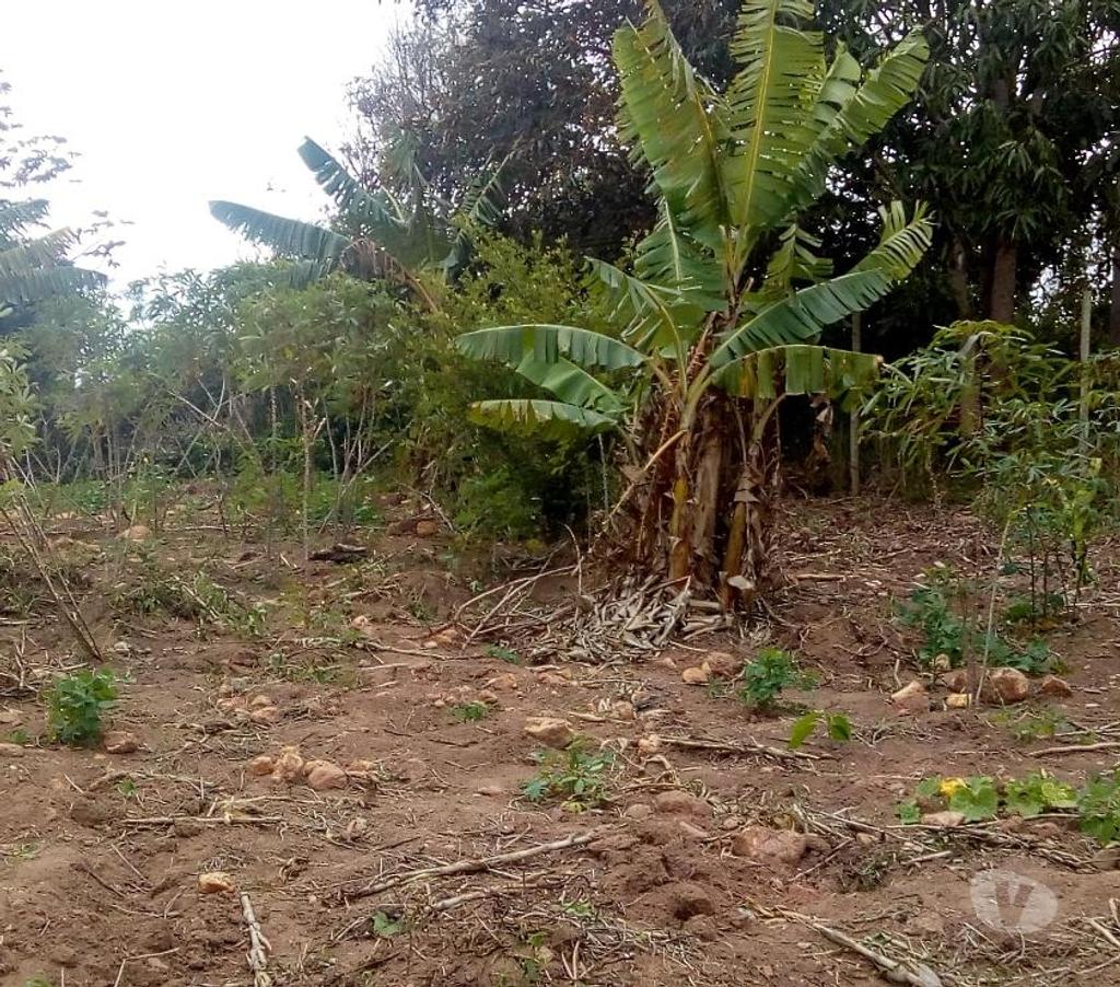 Terrenos Buzios RJ - Fotos para Vendo Excelente terreno próximo a praia em Búzios-RJ