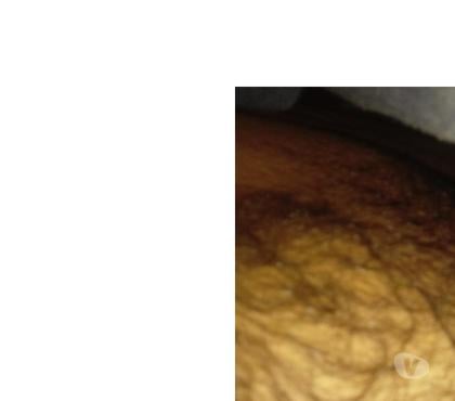 Homem procura Homem - Fotos para Goza nun cu sendo afeminado mete em todos