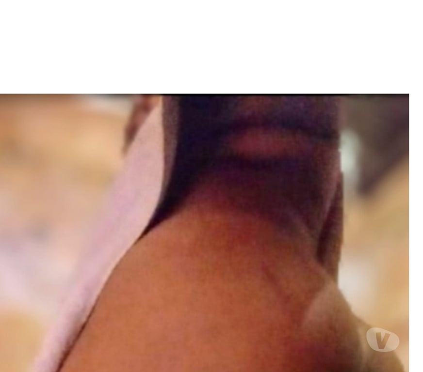 Encontros Casuais Campo Grande MS - Fotos para Versátilsafado18