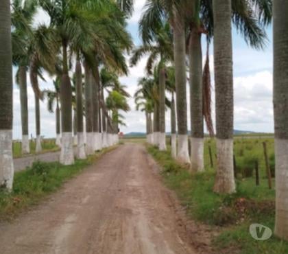 Terrenos a venda - images_alt_text Vendo Terreno no Recanto da Castelo 01- Alto Padrao