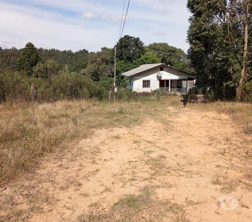 Fazendas - Sitios à venda Mandirituba PR - Fotos para VENDO ÁREA EM MANDIRITUBA COM 126.671 CONTENDO 04 CASAS