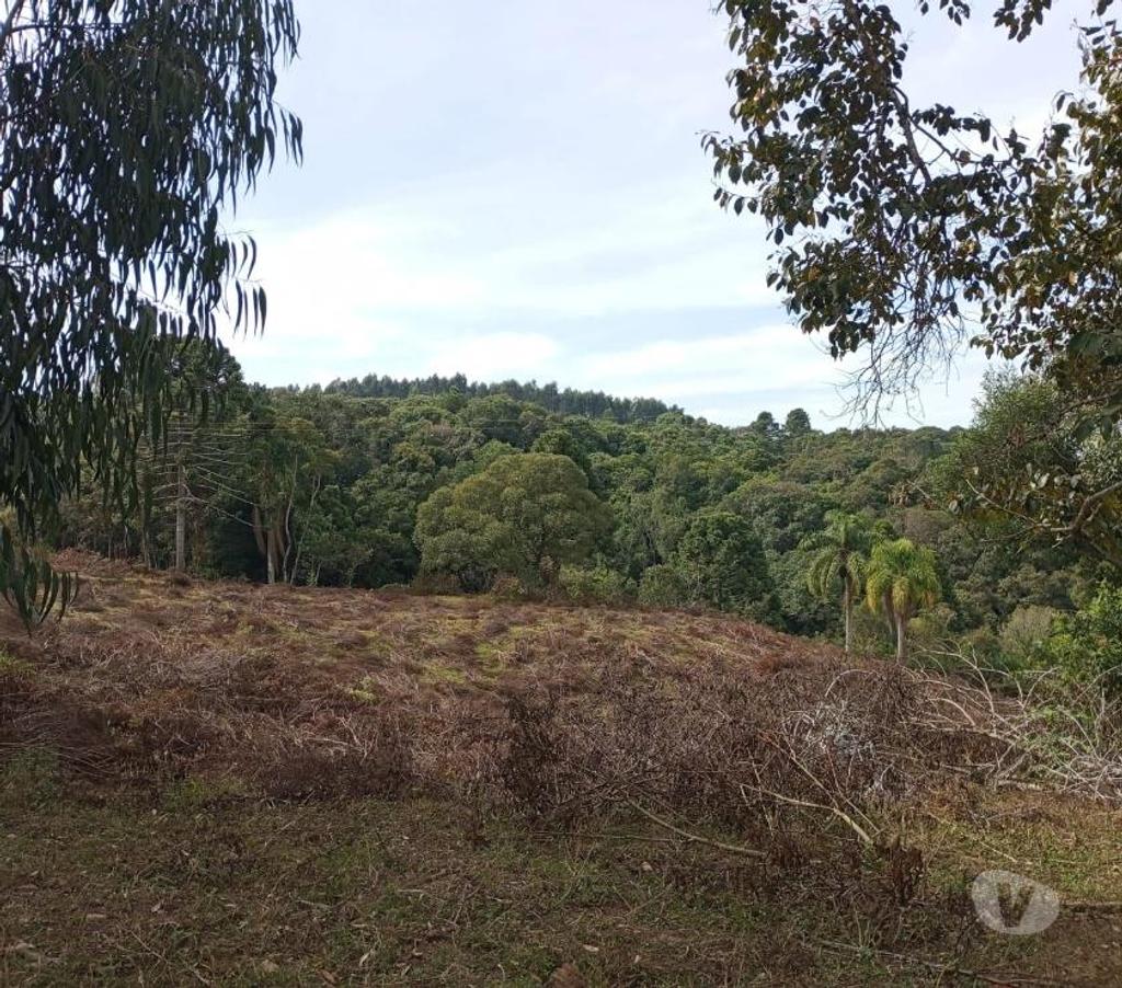 Fazendas - Sitios à venda Mandirituba PR - Fotos para VENDO ÁREA EM MANDIRITUBA COM 126.671 CONTENDO 04 CASAS