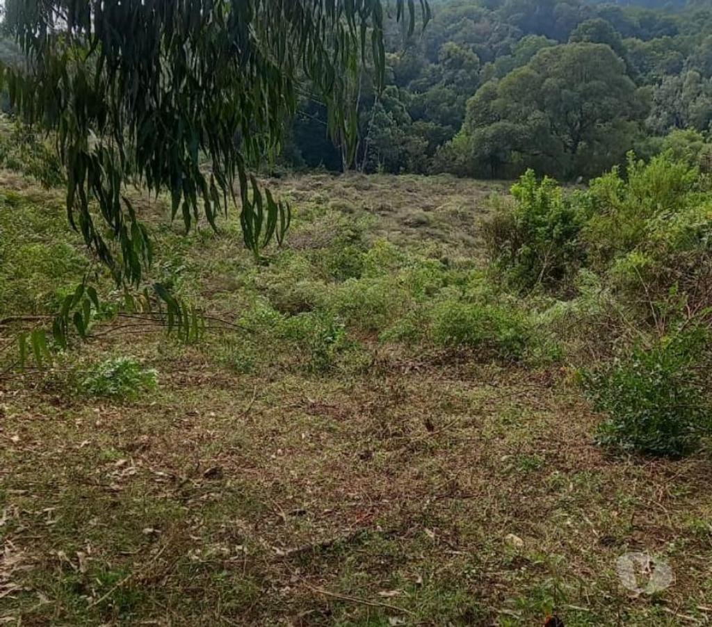 Fazendas - Sitios à venda Mandirituba PR - Fotos para VENDO ÁREA EM MANDIRITUBA COM 126.671 CONTENDO 04 CASAS