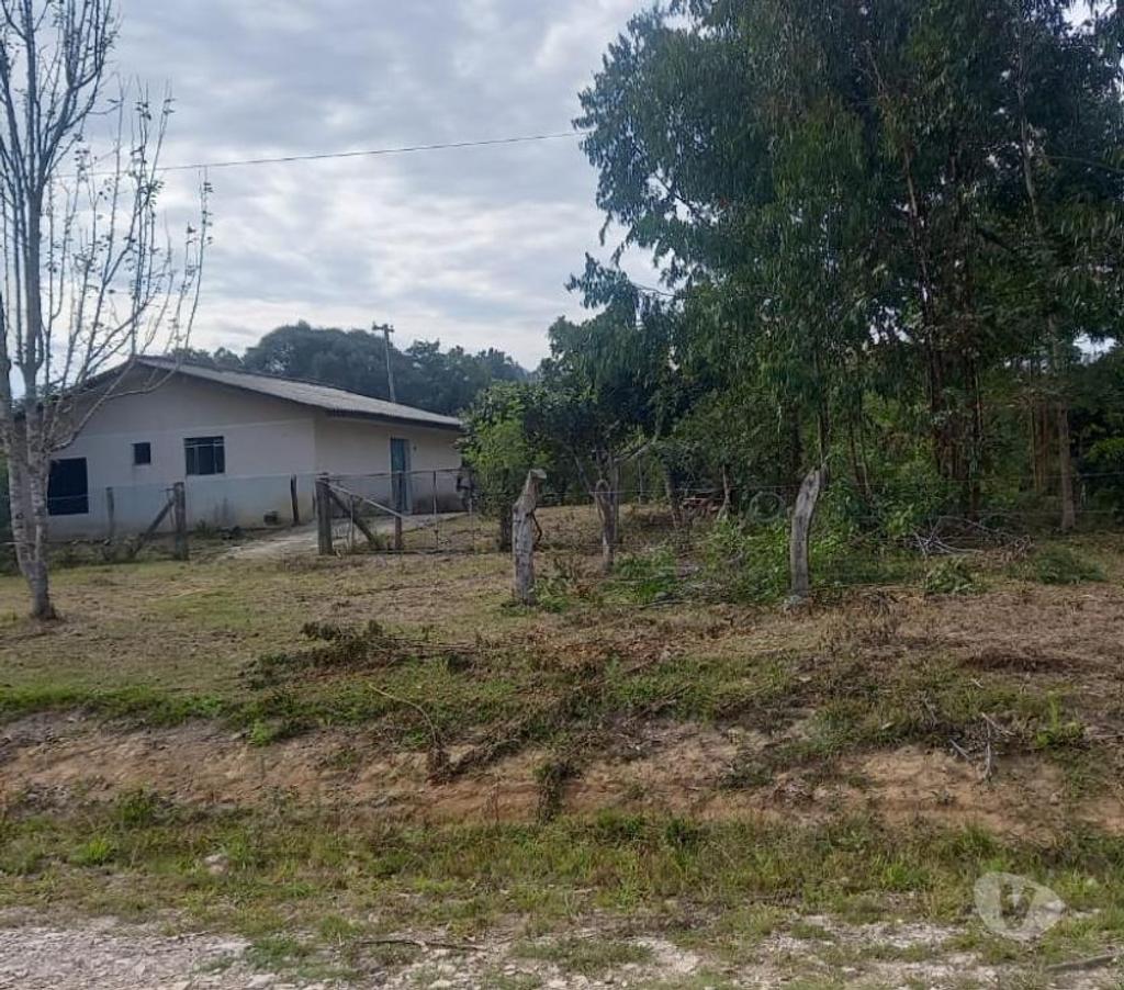 Fazendas - Sitios à venda Mandirituba PR - Fotos para VENDO ÁREA EM MANDIRITUBA COM 126.671 CONTENDO 04 CASAS