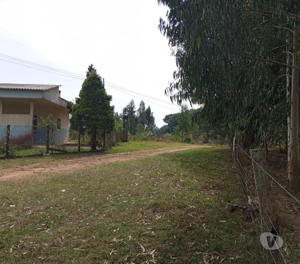 Fazendas - Sitios à venda Mandirituba PR - Fotos para VENDO ÁREA EM MANDIRITUBA COM 126.671 CONTENDO 04 CASAS