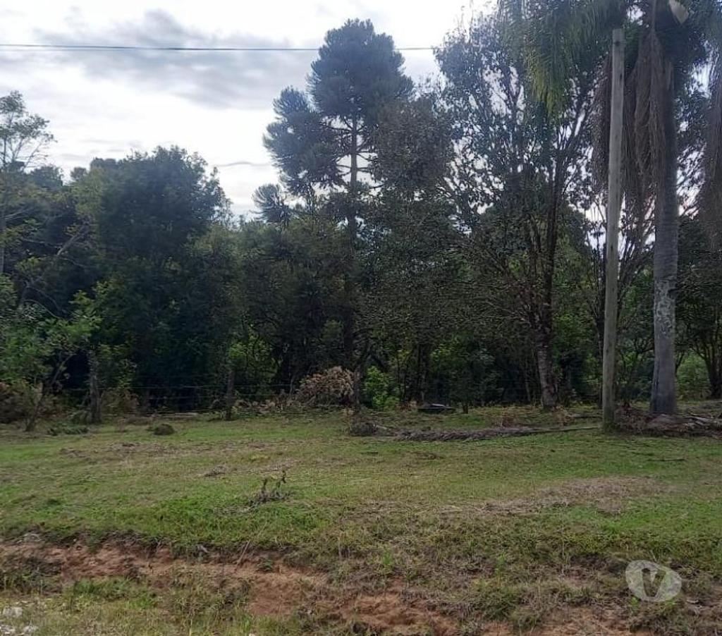 Fazendas - Sitios à venda Mandirituba PR - Fotos para VENDO ÁREA EM MANDIRITUBA COM 126.671 CONTENDO 04 CASAS