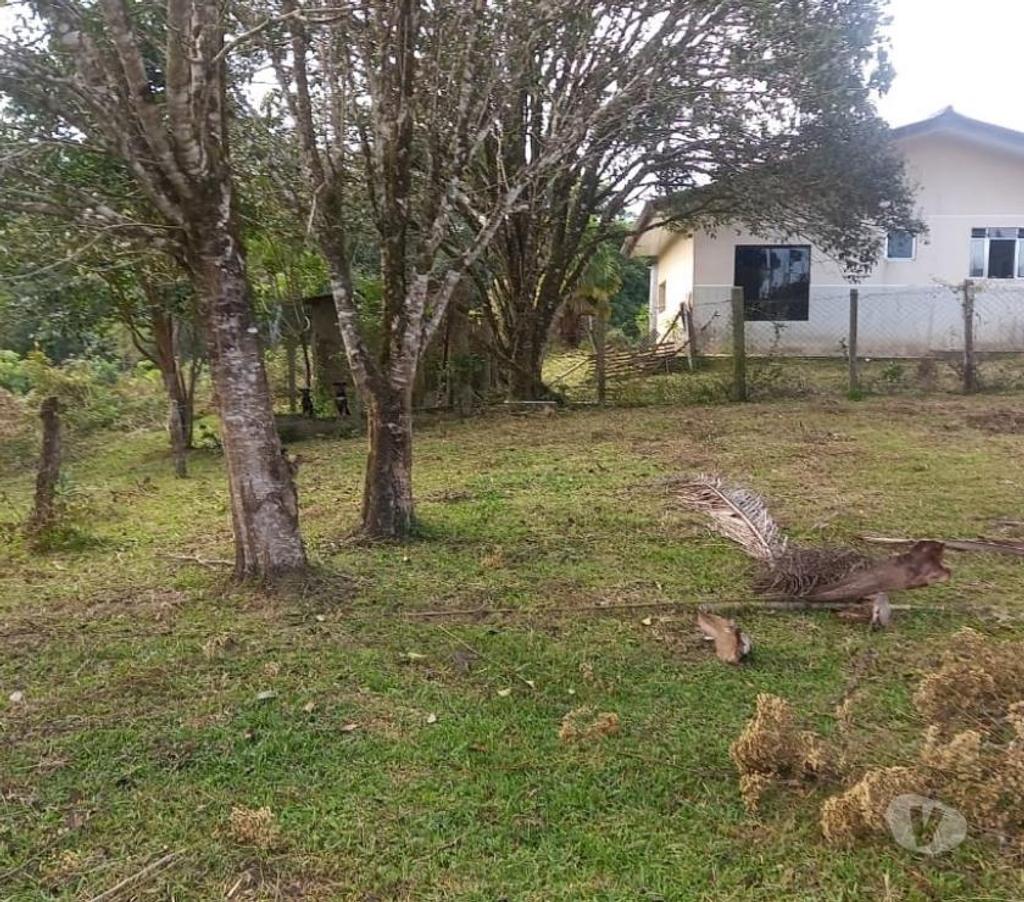 Fazendas - Sitios à venda Mandirituba PR - Fotos para VENDO ÁREA EM MANDIRITUBA COM 126.671 CONTENDO 04 CASAS