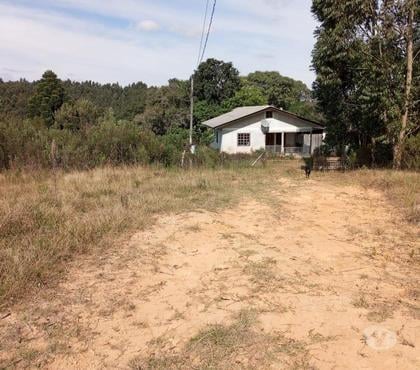 Fazendas - Sitios à venda - images_alt_text VENDO ÁREA EM MANDIRITUBA COM 126.671 CONTENDO 04 CASAS