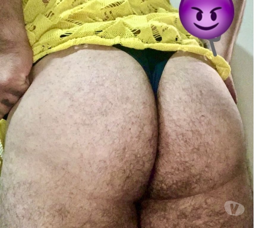 Homem procura Homem Curitiba PR Cajuru, Curitiba - Fotos para Ursino iniciante