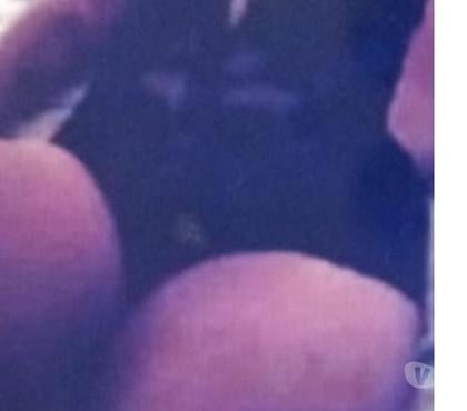 Acompanhantes - Fotos para Acompanhante de luxo