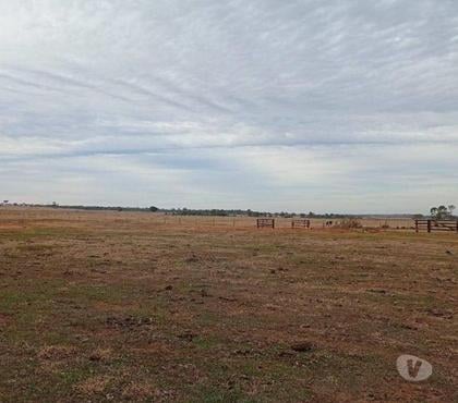 Fazendas - Sitios à venda - Fotos para FAZENDA COM 2.372 HECTARES NA REGIÃO DE IGUATEMI MS
