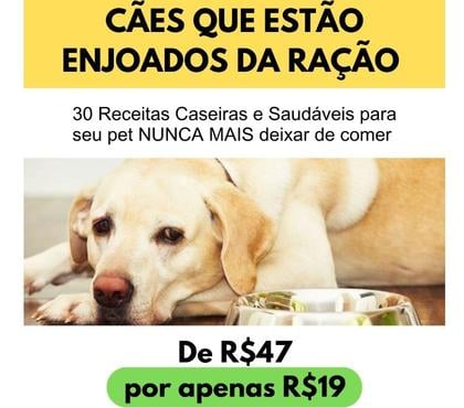 Veterinários - Serviços - Acessórios - Fotos para 30 receitas saudaveis para seu pet