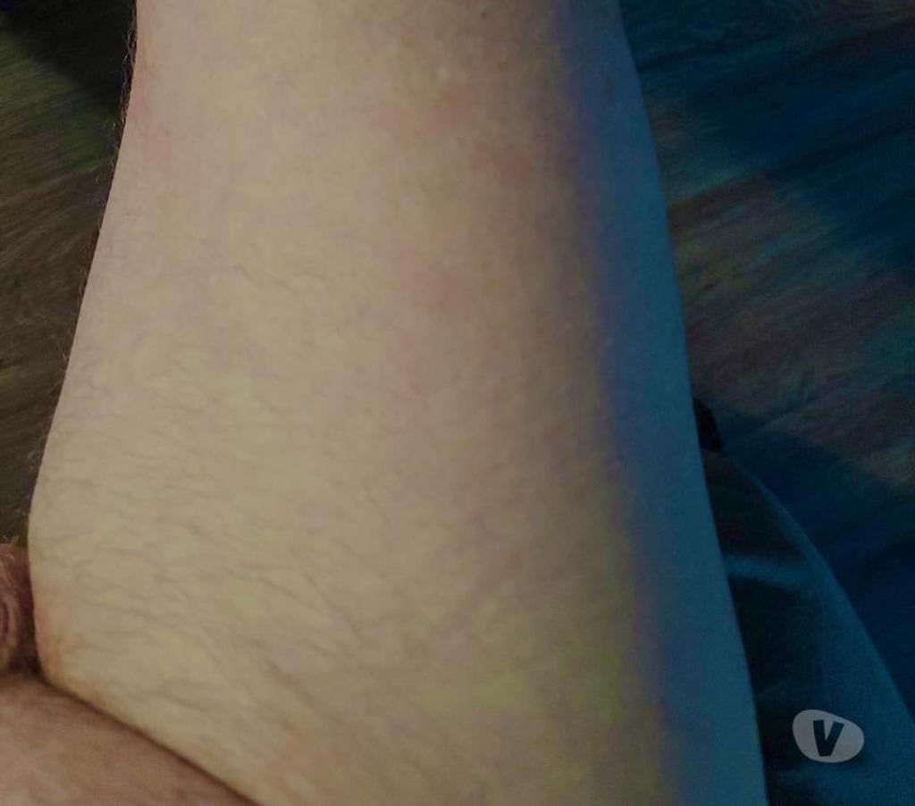 Encontros Casuais Florianopolis SC Florianópolis Outros - Fotos para Apenas GORDINHOS OU PARRUDOS