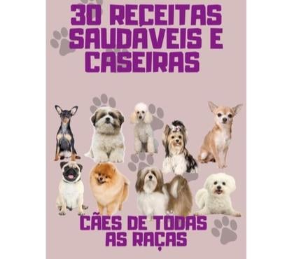Veterinários - Serviços - Acessórios - Fotos para 30 RECEITAS PARA SEUS CÃOES
