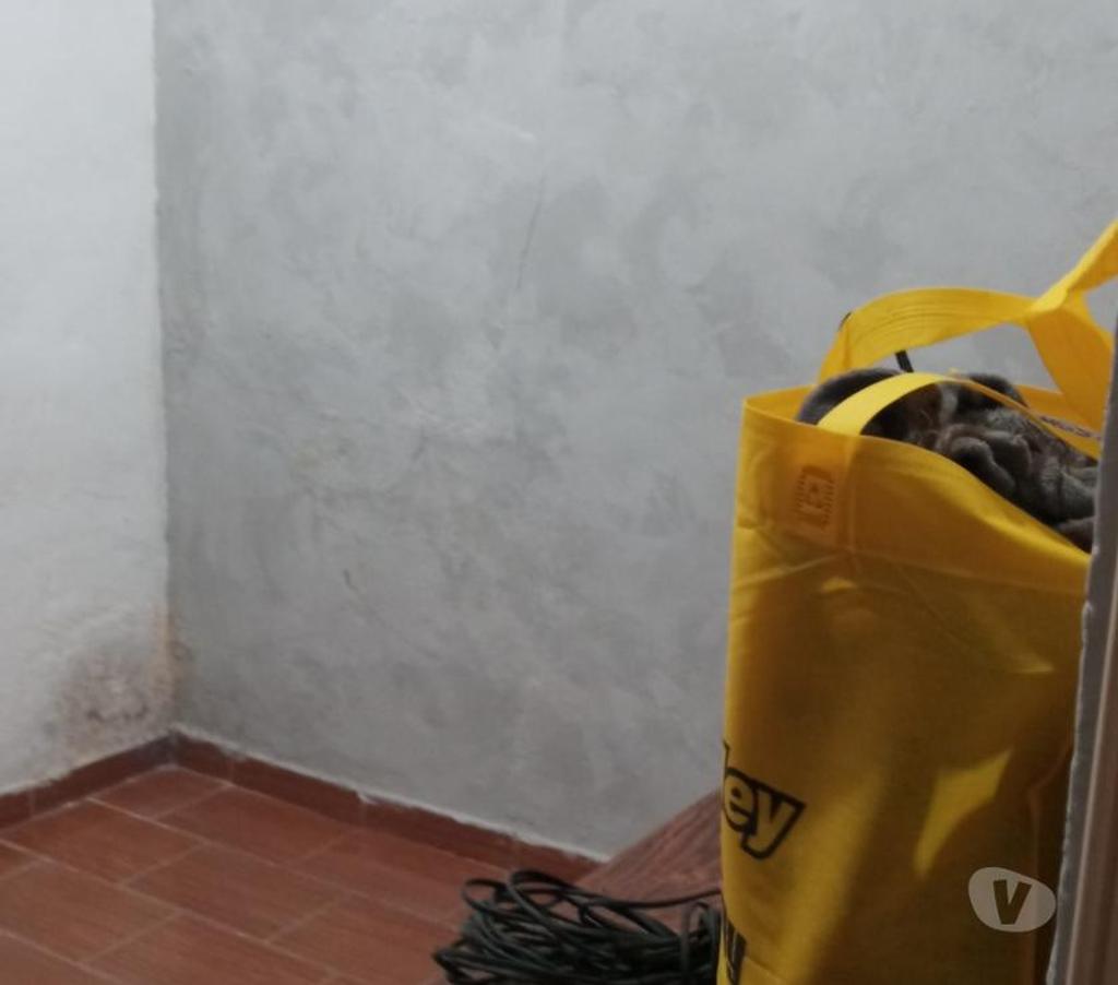 Quarto para Alugar Belo Horizonte MG Oeste - Fotos para Alugou quarto para moças lesbicas