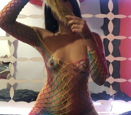 Acompanhantes - Fotos para Ninfeta de Santa Catarina