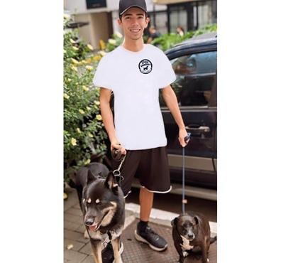 Veterinários - Serviços - Acessórios Morumbi Sao Paulo SP - Fotos para DOG WALKER NICOLAS NASCIMENTO