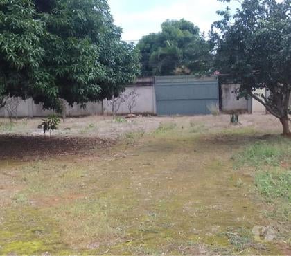 Terrenos a venda - Fotos para Qsc 19 Tag Vendo excelente lote murado com 800 metros murado