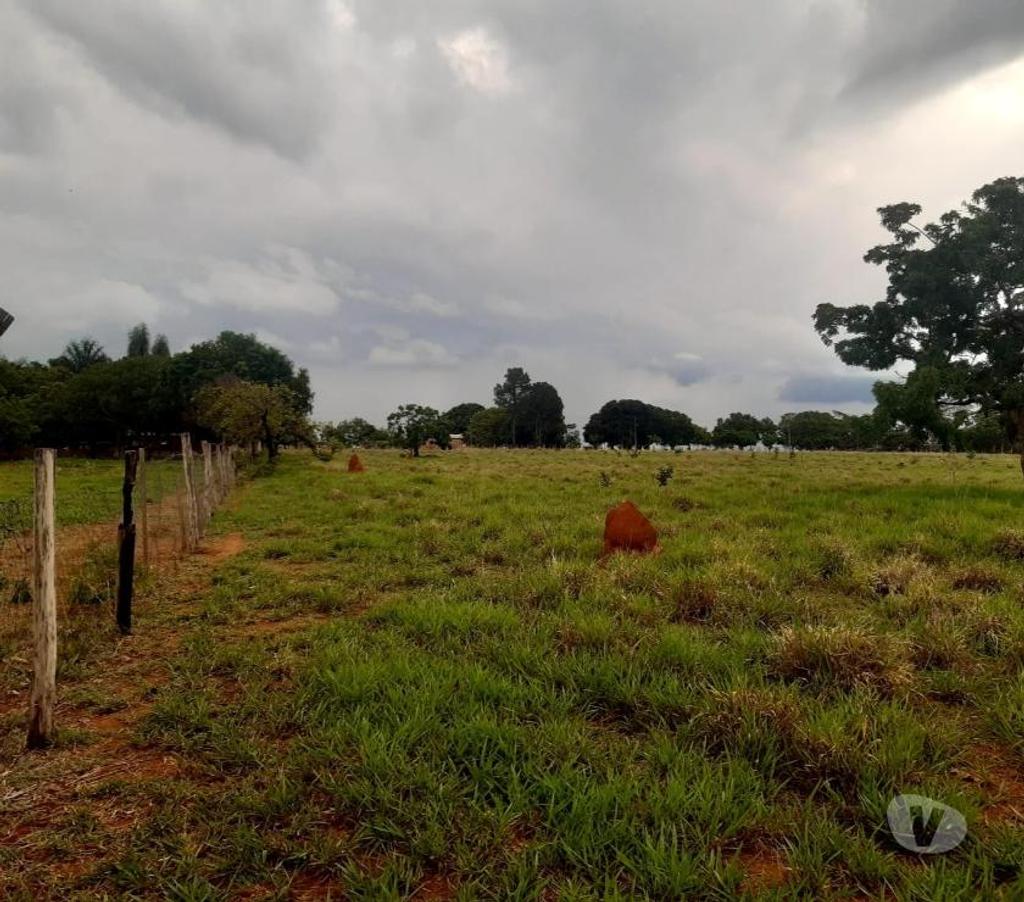 Terrenos aguas Lindas de Goias GO - Fotos para Excelente terreno para plantio e cultivo e criação