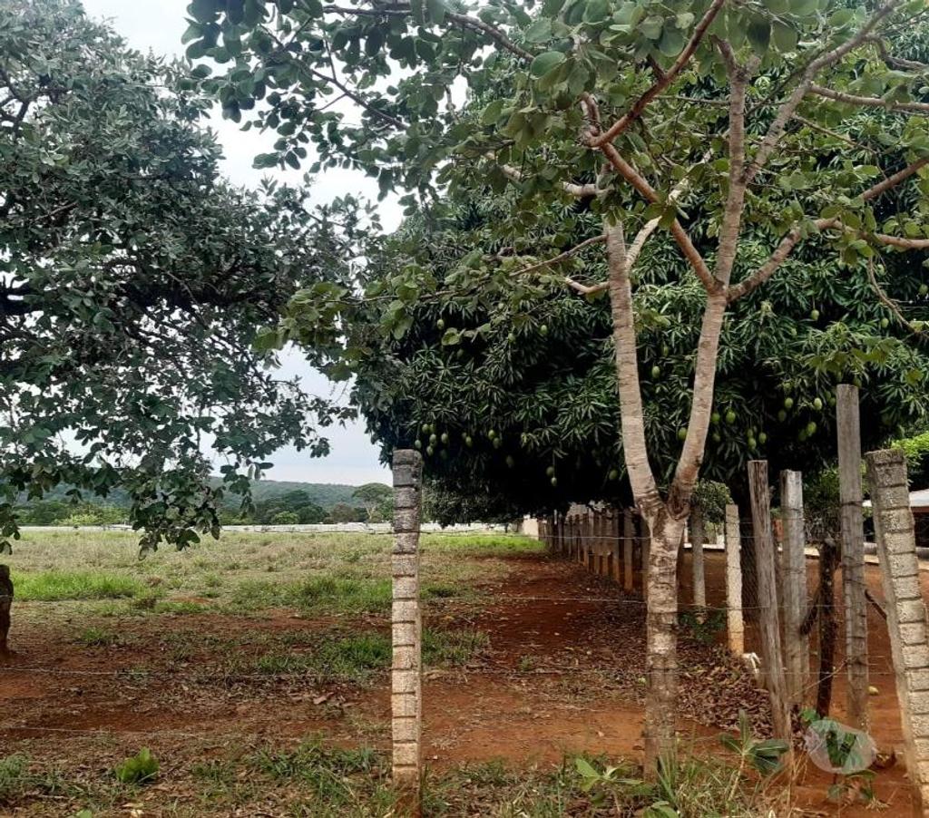 Terrenos aguas Lindas de Goias GO - Fotos para Excelente terreno para plantio e cultivo e criação