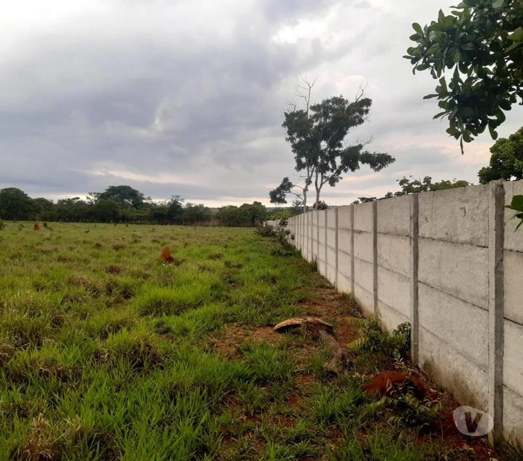 Terrenos aguas Lindas de Goias GO - Fotos para Excelente terreno para plantio e cultivo e criação