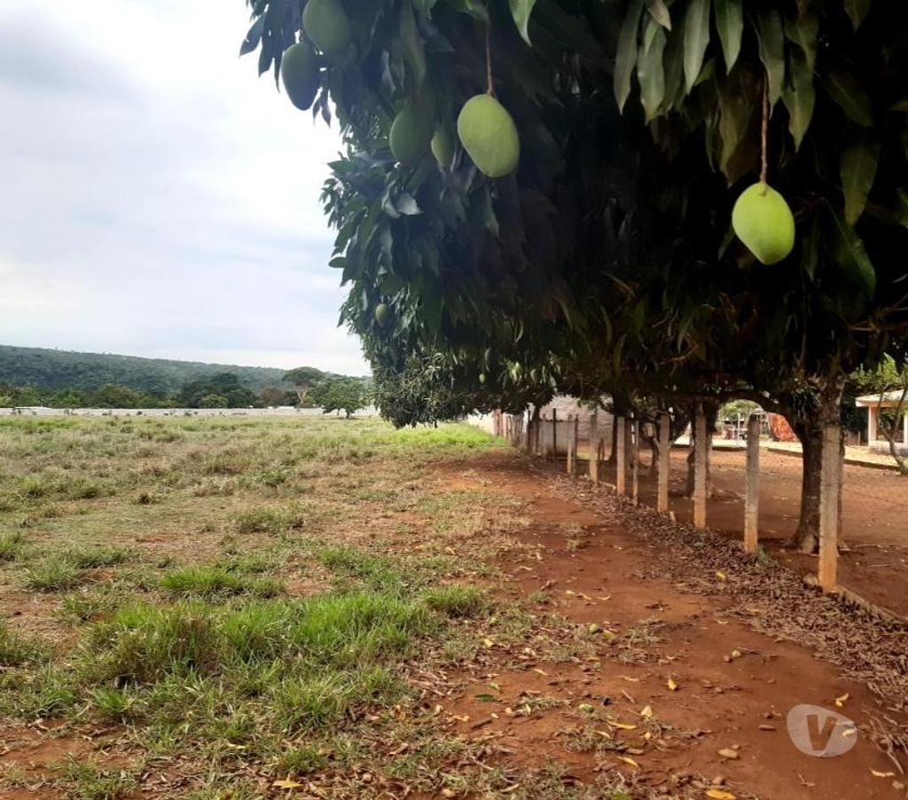 Terrenos aguas Lindas de Goias GO - Fotos para Excelente terreno para plantio e cultivo e criação