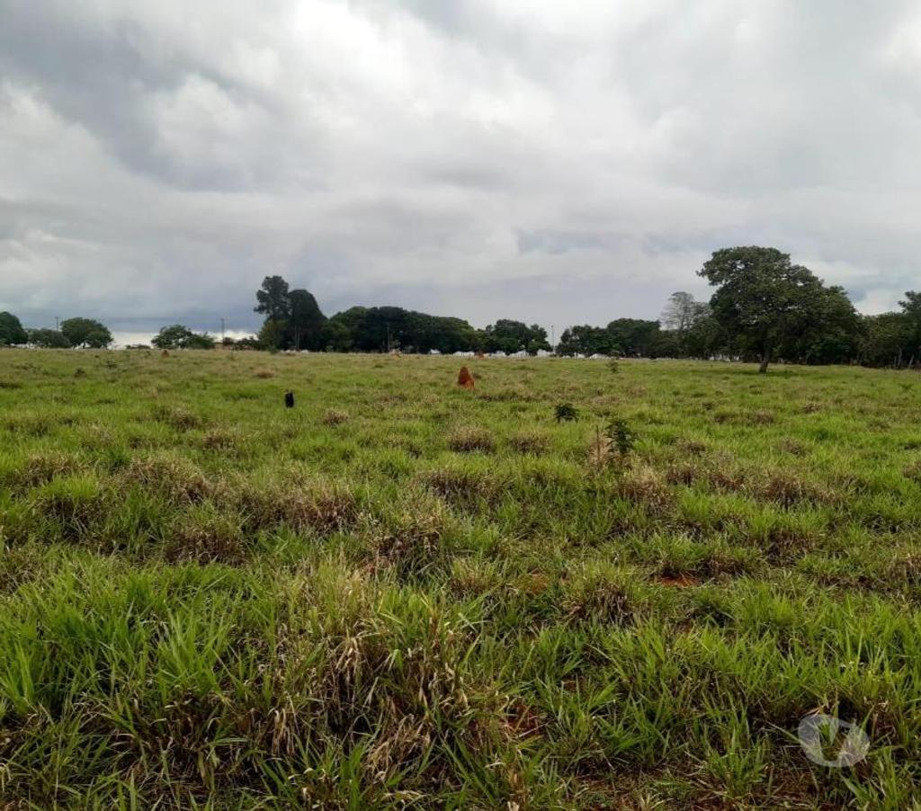 Terrenos aguas Lindas de Goias GO - Fotos para Excelente terreno para plantio e cultivo e criação