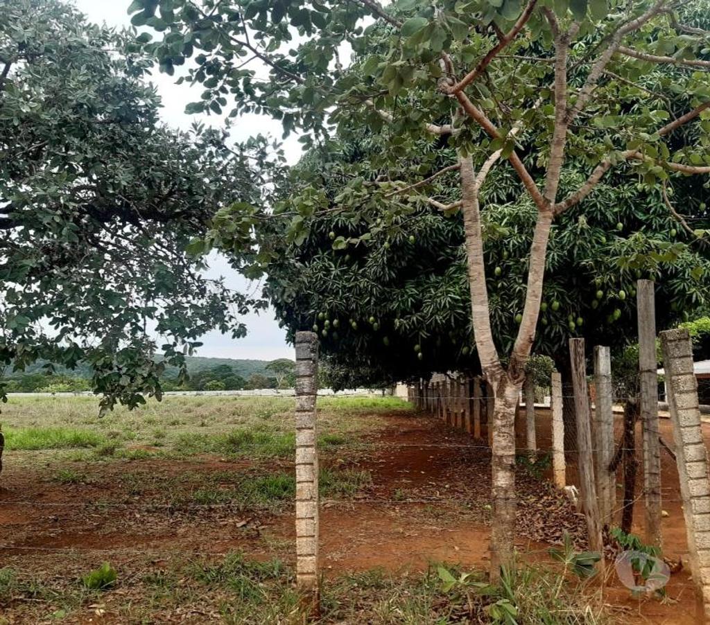 Terrenos aguas Lindas de Goias GO - Fotos para Excelente terreno para plantio e cultivo e criação
