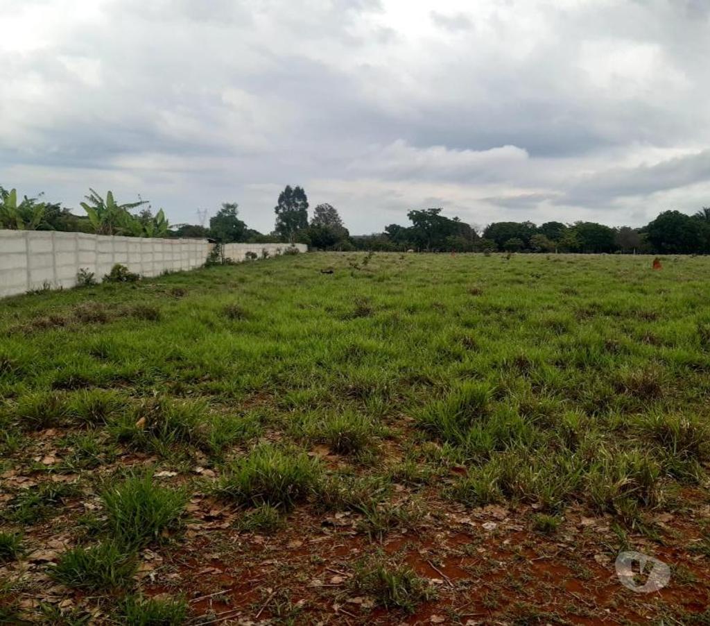 Terrenos aguas Lindas de Goias GO - Fotos para Excelente terreno para plantio e cultivo e criação
