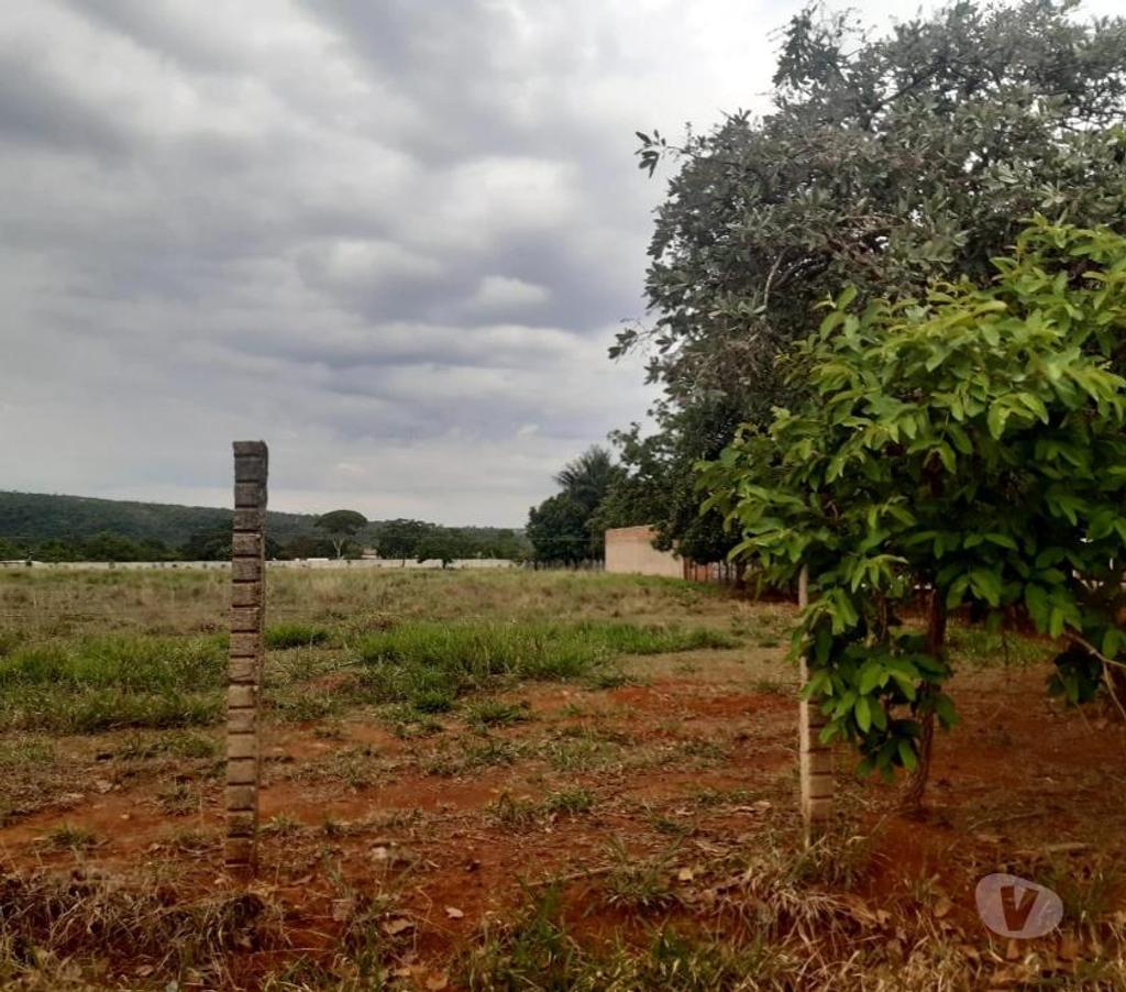 Terrenos aguas Lindas de Goias GO - Fotos para Excelente terreno para plantio e cultivo e criação