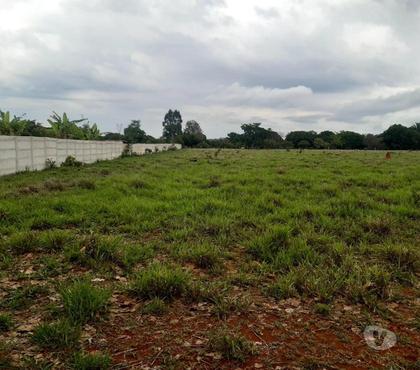 Lotes - Fotos para Excelente terreno para plantio e cultivo e criação