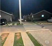 Vendo casa condomínio no interior SP