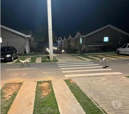 Apartamentos a venda Outros Bairros Sao Paulo SP Sao Paulo SP - Fotos para Vendo casa condomínio no interior SP