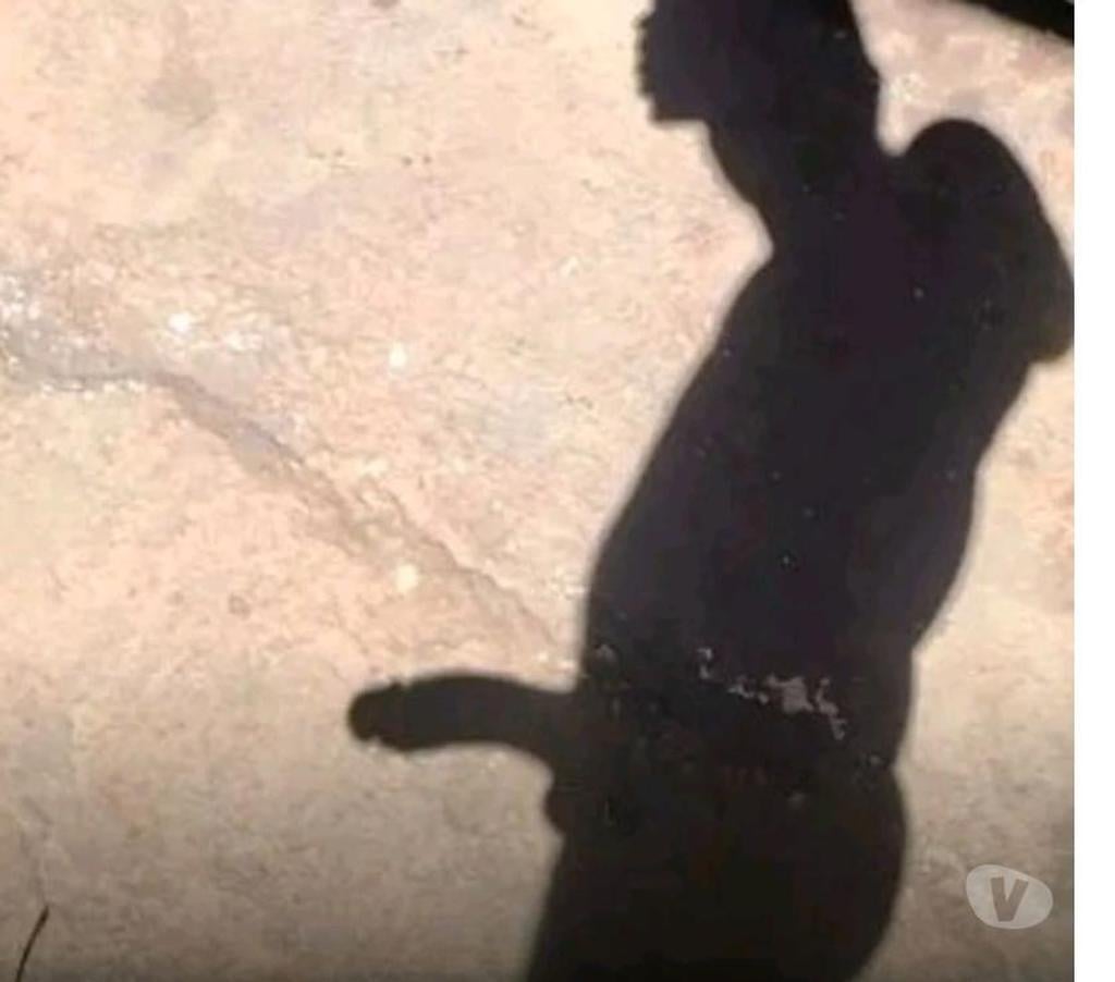 Acompanhantes masculinos Aracaju SE - Fotos para Oliver GP 18cm com local de volta