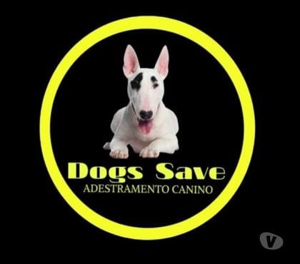 Veterinários - Serviços - Acessórios Santo Amaro Sao Paulo SP - Fotos para Adestramento Comportamental - Metodo inédito!